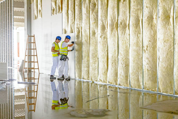 Best Residential Insulation in Unionville, GA